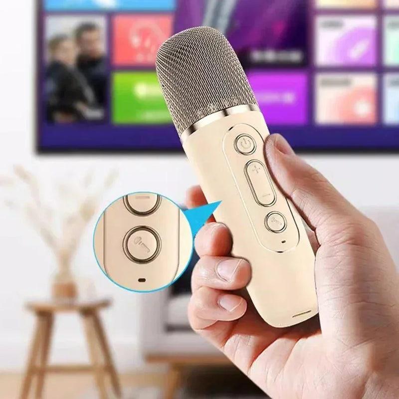 Karaoke Machine Portable Bluetooth Speaker System